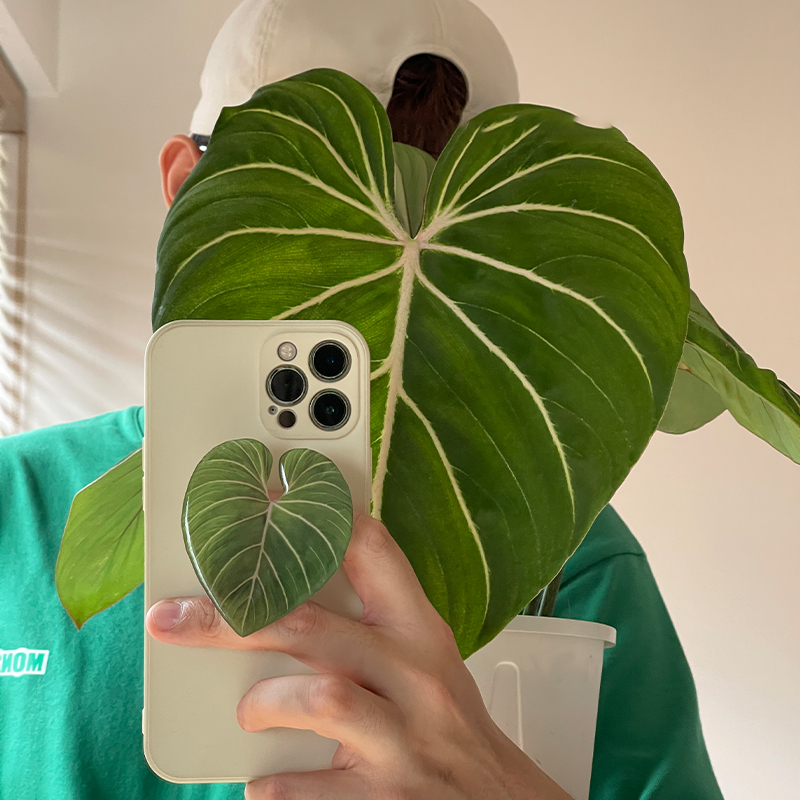 Cute Glossy Popular Simulation – Tech Accessories Phone recenzja i cena